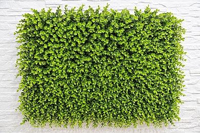 致敬黎明前的无名英雄！谍战文字冒险游戏《谍：惊蛰》现已发售